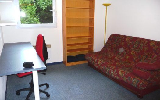 69008 LYON PROX MONPLAISIR ET FACULTE MANUFACTURE TABAC STUDIO MEUBLE RECENT