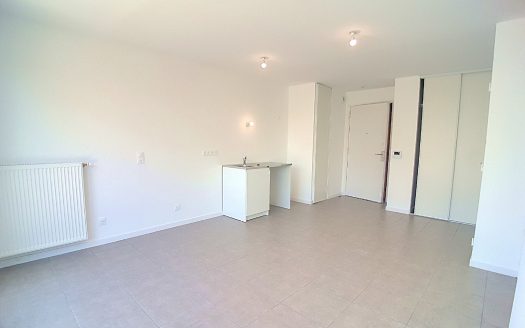 69007 LYON BERTHELOT MONPLAISIR APPARTEMENT T2 RECENT + GARAGE