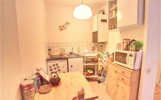 69008 LYON MONPLAISIR LOCATION APPARTEMENT T1 28m2 + CAVE