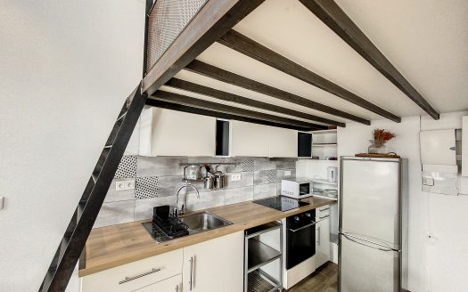69003 LYON PLACE BAHADOURIAN LOCATION APPARTEMENT T1 MEUBLE 27m2 + MEZZANINE